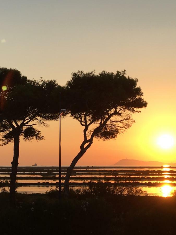 Apartament Le Club Des Cigales Hyères Zewnętrze zdjęcie